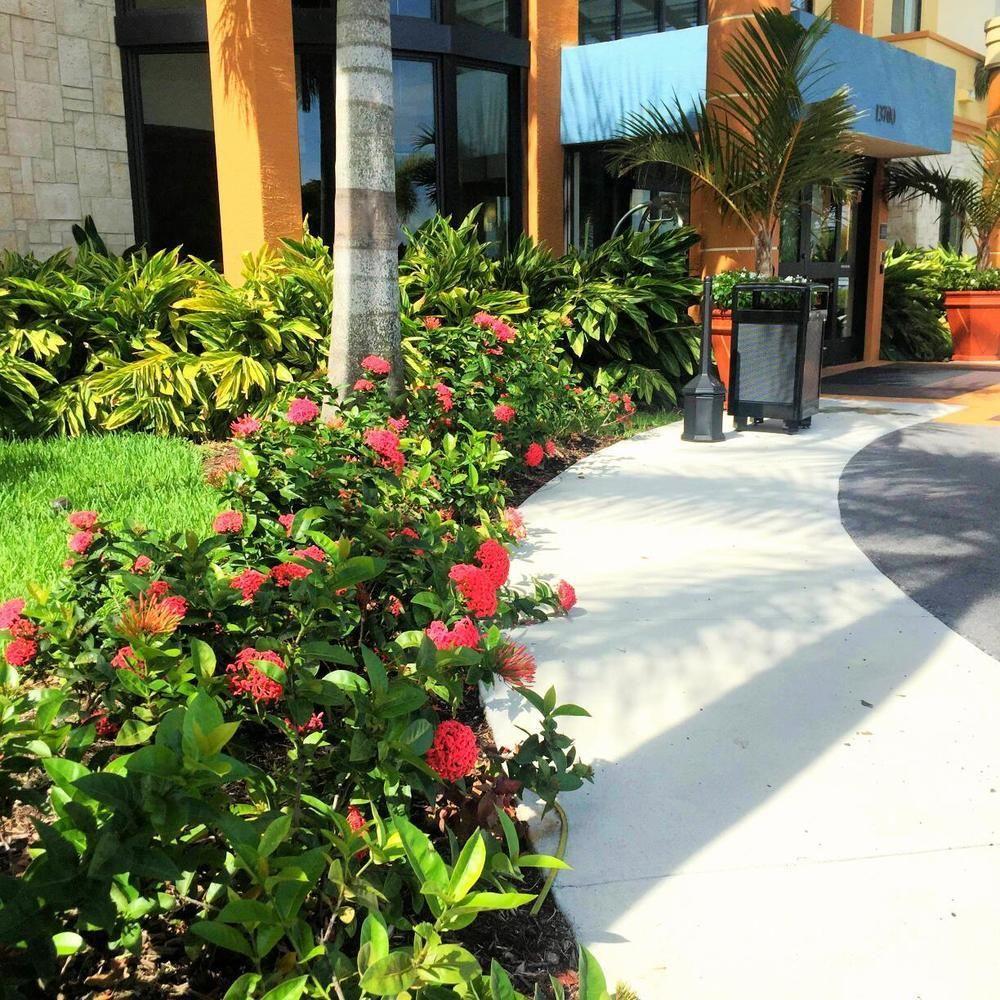 Best Western Plus Miami Executive Airport Hotel And Suites Country Walk Екстер'єр фото
